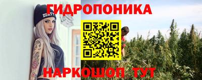 стаф Гусь-Хрустальный