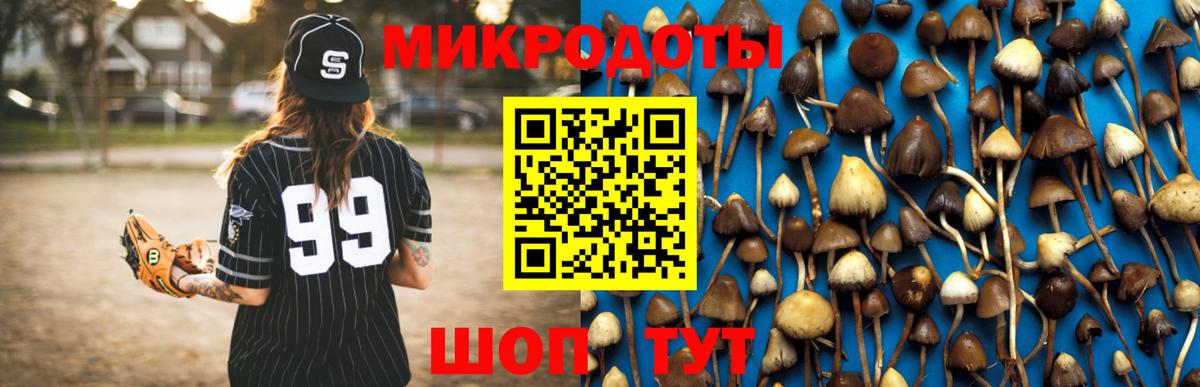 Галлюциногенные грибы MAGIC MUSHROOMS Надым